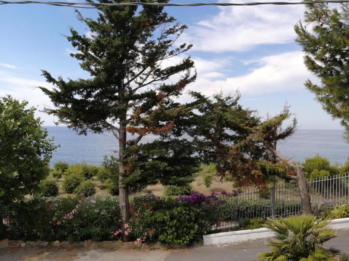 Villaggio Turistico La Vesca Sanremo Exterior foto